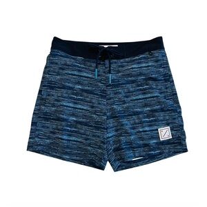 American Eagle Outfitters Blue Board Shorts
